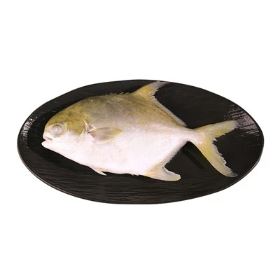 Gouden Pompano visgroothandel