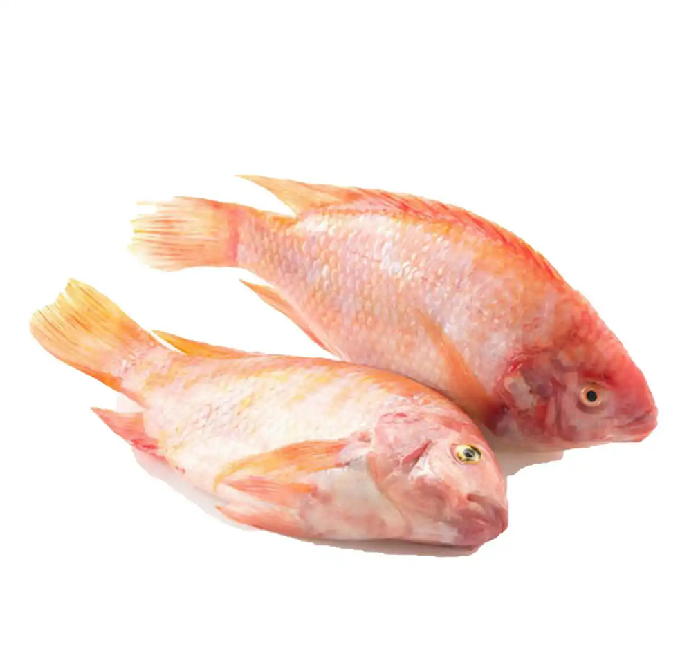 fcfaaf51f3deb48f739e3e82cd5096242cf57850webp fcfaaf51f3deb48f739e3e82cd5096242cf57850webp