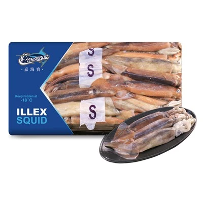 Frozen Illex Squid WR